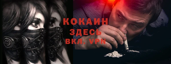 хмурый Белокуриха