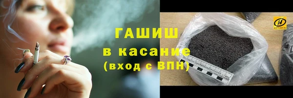 хмурый Белокуриха