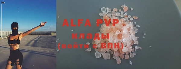 хмурый Белокуриха