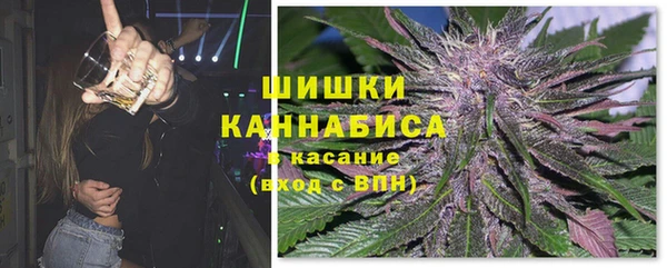 хмурый Белокуриха