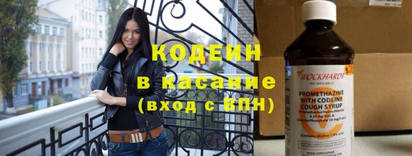 хмурый Белокуриха