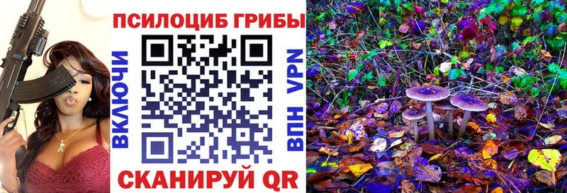 где купить   Усолье  MEGA ТОР  Галлюциногенные грибы Psilocybe 